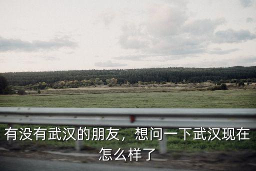 現在武漢超市怎么樣,想問一下武漢現在怎么樣了