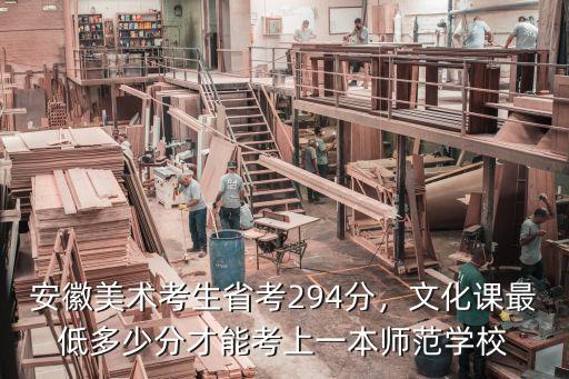 安徽省美術省考考263文化課需要多少分,安徽美術考生省考294分