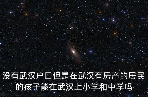 在武漢小孩怎么上學(xué),如果在武漢做生意