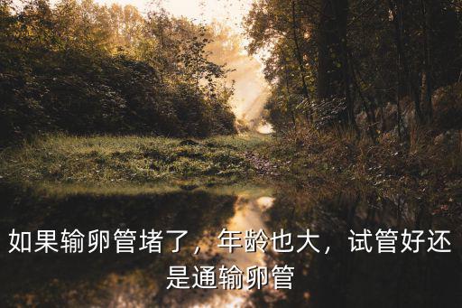 鄭州哪里做輸卵管疏通好,試管好還是通輸卵管