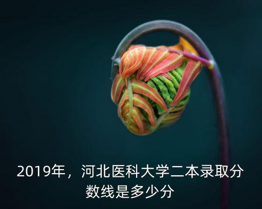 河北醫大2019年錄取分數是多少,2019多少分能考上