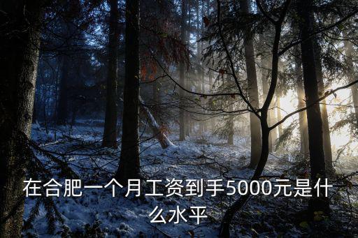 14000在合肥稅后多少,稅前一萬在合肥什么水平