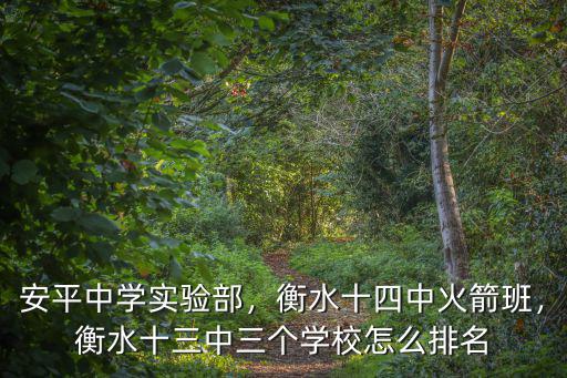 安平中學實驗部，衡水十四中火箭班，衡水十三中三個學校怎么排名