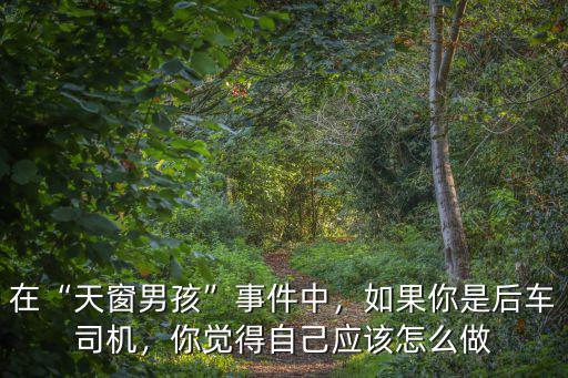 在“天窗男孩”事件中，如果你是后車司機，你覺得自己應該怎么做