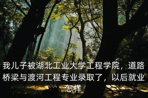 我兒子被湖北工業(yè)大學工程學院，道路橋梁與渡河工程專業(yè)錄取了，以后就業(yè)怎樣