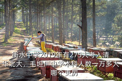 衡水中學2019年有275人考入清華北大，毛坦廠中學本科人數一萬多人，哪個更厲