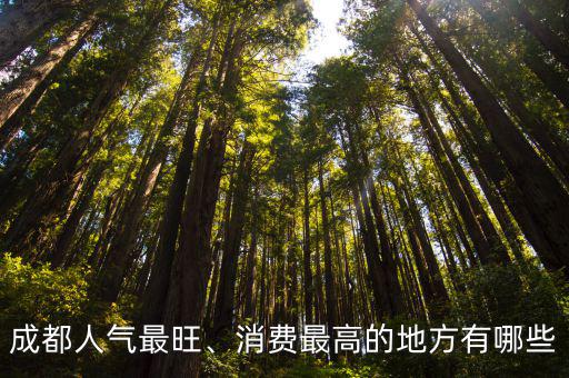 成都人氣最旺、消費最高的地方有哪些