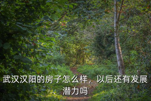 武漢漢陽的房子怎么樣，以后還有發展潛力嗎