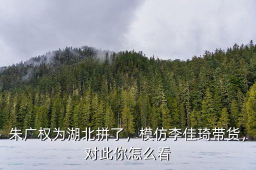 朱廣權為湖北拼了，模仿李佳琦帶貨，對此你怎么看