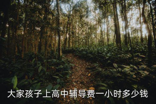 大家孩子上高中輔導(dǎo)費(fèi)一小時(shí)多少錢