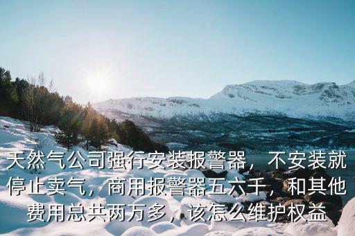 天然氣公司強(qiáng)行安裝報(bào)警器，不安裝就停止賣氣，商用報(bào)警器五六千，和其他費(fèi)用總共兩萬多，該怎么維護(hù)權(quán)益