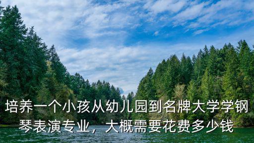 培養(yǎng)一個小孩從幼兒園到名牌大學學鋼琴表演專業(yè)，大概需要花費多少錢