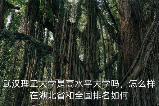 武漢理工大學(xué)林耀軍教授怎么樣,武漢理工大學(xué)口碑怎么樣