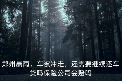 鄭州暴雨，車被沖走，還需要繼續(xù)還車貸嗎保險公司會賠嗎