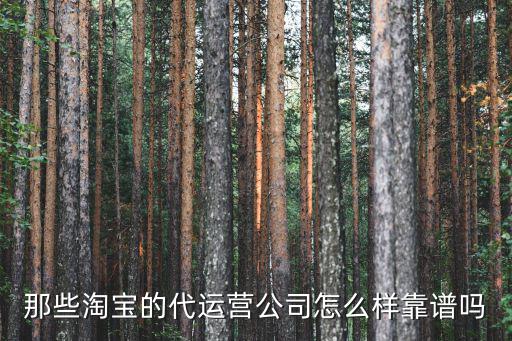 那些淘寶的代運營公司怎么樣靠譜嗎