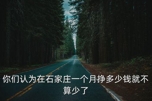 你們認為在石家莊一個月掙多少錢就不算少了