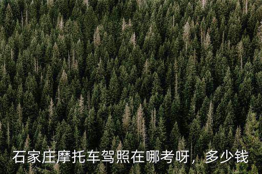 石家莊科四多少錢,在石家莊考駕照需要多少錢