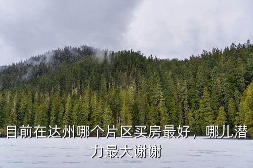 目前在達州哪個片區買房最好，哪兒潛力最大謝謝