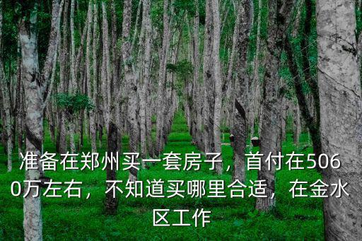 準備在鄭州買一套房子，首付在5060萬左右，不知道買哪里合適，在金水區工作