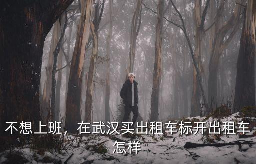 不想上班，在武漢買出租車標開出租車怎樣