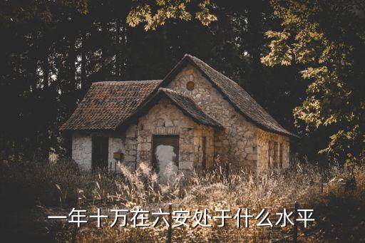 一年十萬在六安處于什么水平