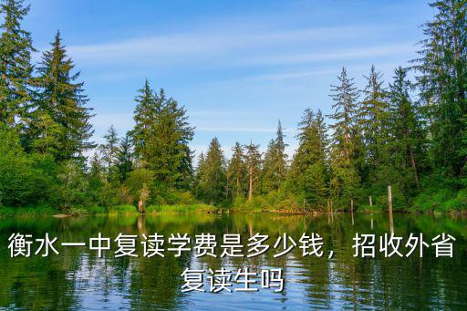 到衡水復讀找人得花多少錢,衡水一中復讀學費是多少錢