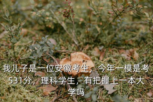 我兒子是一位安徽考生，今年一模是考531分，理科學(xué)生，有把握上一本大學(xué)嗎