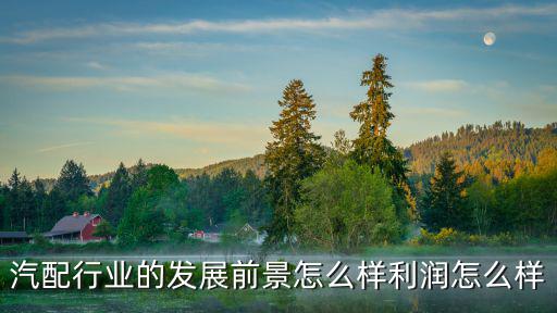 荊門汽配行業(yè)怎么樣,汽配行業(yè)前景怎么樣