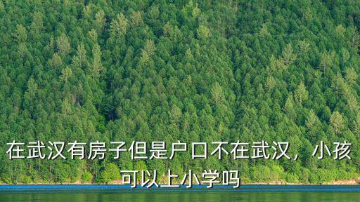 在武漢有房子但是戶口不在武漢，小孩可以上小學嗎