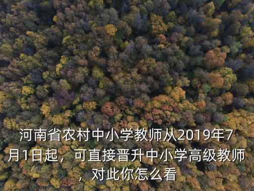 鄭州市中小學高級教師怎么評,可直接晉升中小學高級教師