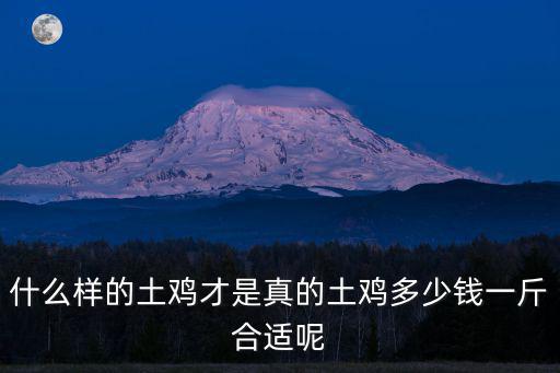 滁州草雞多少錢一斤,多少錢一斤合適呢