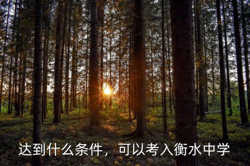 達到什么條件，可以考入衡水中學