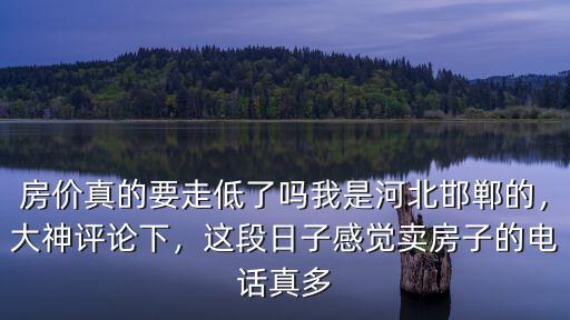 房價真的要走低了嗎我是河北邯鄲的，大神評論下，這段日子感覺賣房子的電話真多