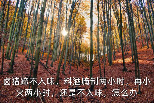 鹵豬蹄不入味，料酒腌制兩小時，再小火兩小時，還是不入味，怎么辦