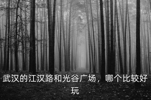 武漢的江漢路和光谷廣場，哪個比較好玩