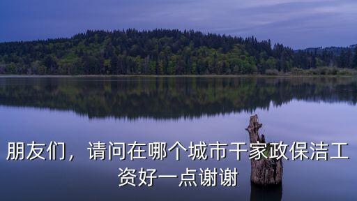 朋友們，請問在哪個城市干家政保潔工資好一點謝謝