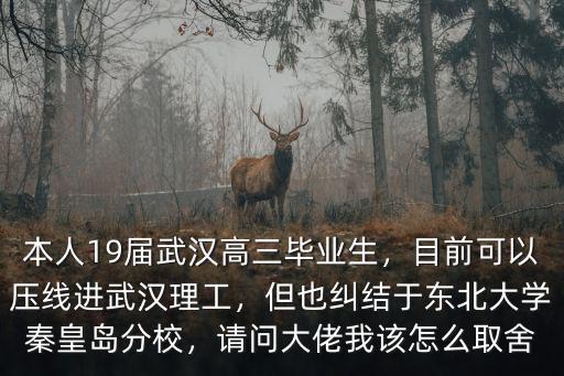 本人19屆武漢高三畢業(yè)生，目前可以壓線(xiàn)進(jìn)武漢理工，但也糾結(jié)于東北大學(xué)秦皇島分校，請(qǐng)問(wèn)大佬我該怎么取舍
