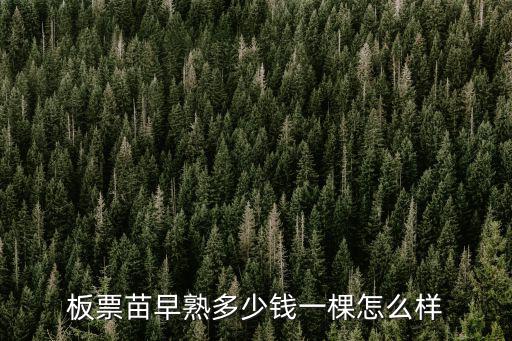 河北板栗苗一株多少錢(qián),板票苗早熟多少錢(qián)一棵