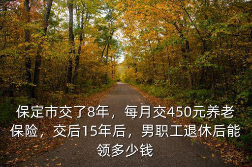 保定養老保險每月領多少,每月交450元養老保險