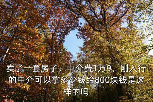 保定賣一套房傭金多少錢,售樓小姐賣一套房子賺多少錢