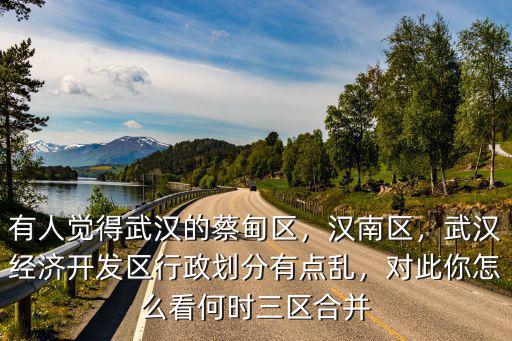 有人覺得武漢的蔡甸區，漢南區，武漢經濟開發區行政劃分有點亂，對此你怎么看何時三區合并
