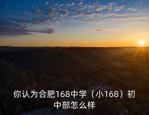 合肥小168高中升學率多少,你認為合肥168中學