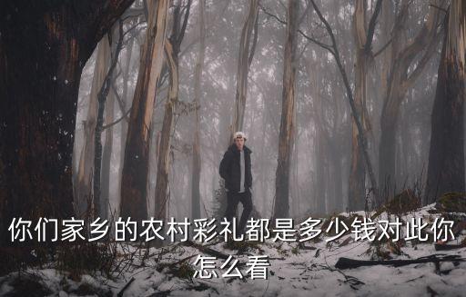 你們家鄉的農村彩禮都是多少錢對此你怎么看