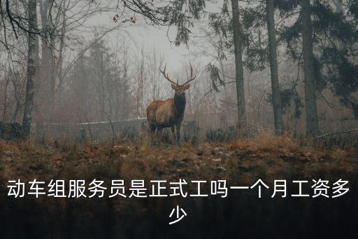 承德服務員工資多少,一個月工資多少