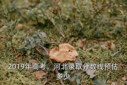 2019年高考，河北錄取分數線預估多少