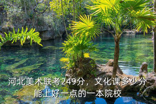 河北美術聯考249分，文化課多少分能上好一點的一本院校