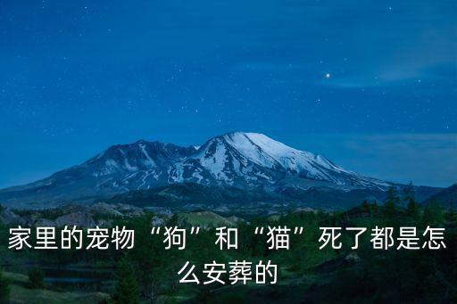 家里的寵物“狗”和“貓”死了都是怎么安葬的