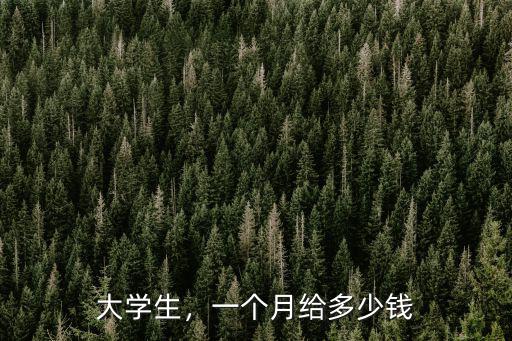 大學(xué)生，一個(gè)月給多少錢(qián)