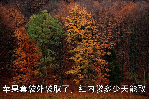 蘋果套袋外袋取了，紅內袋多少天能取