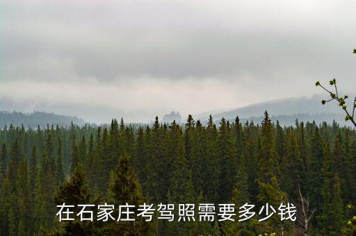 石家莊c1補考費多少錢,在石家莊考駕照需要多少錢